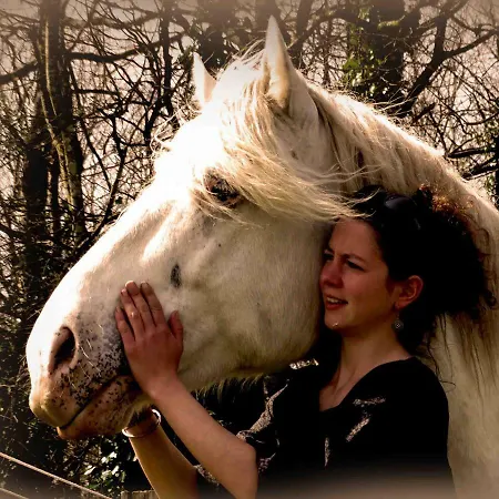 Roulotte Et Des Chevaux فندق مبيت وإفطار *